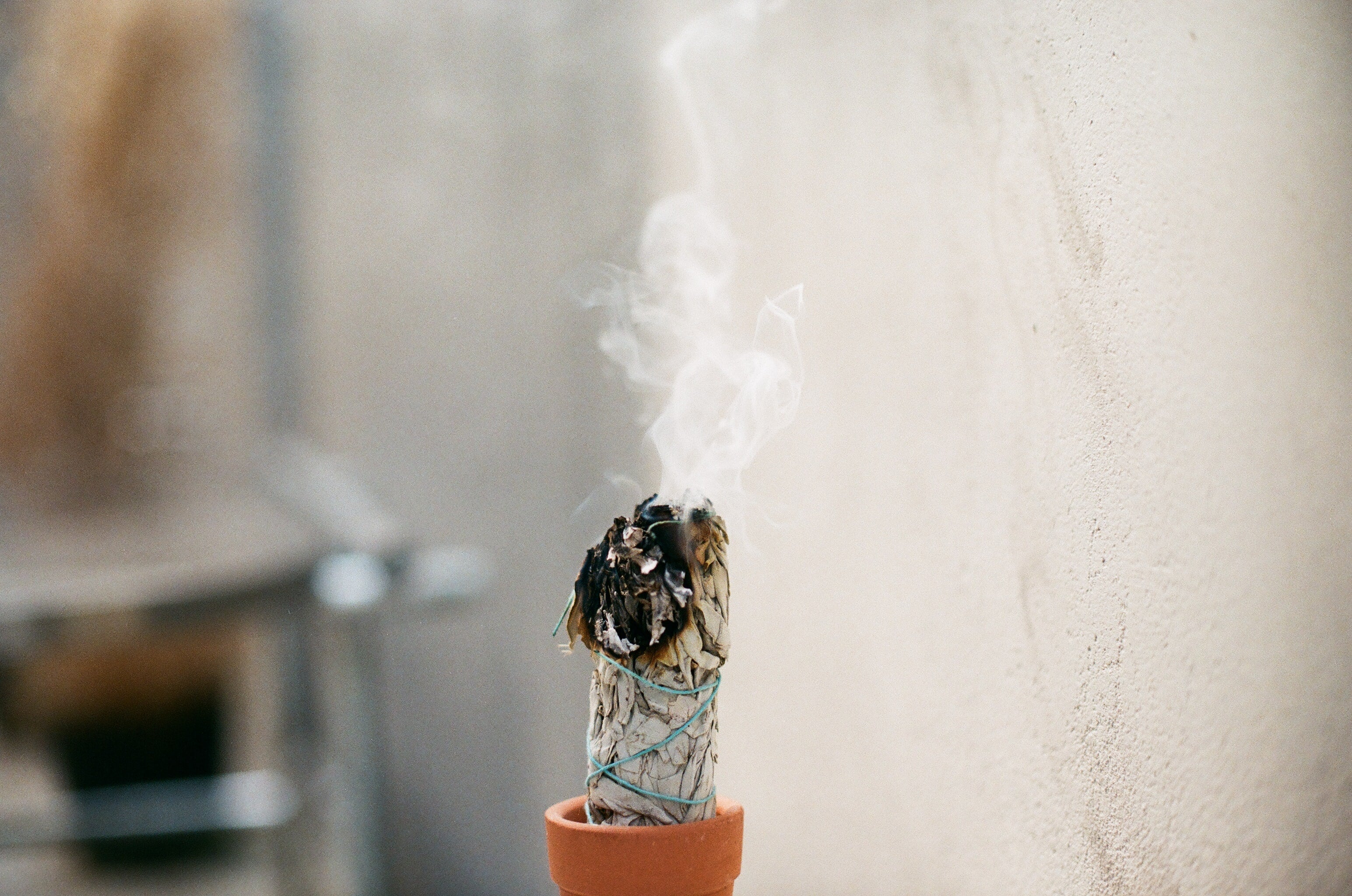 Witte salie smudge sticks | Marga Jacobs