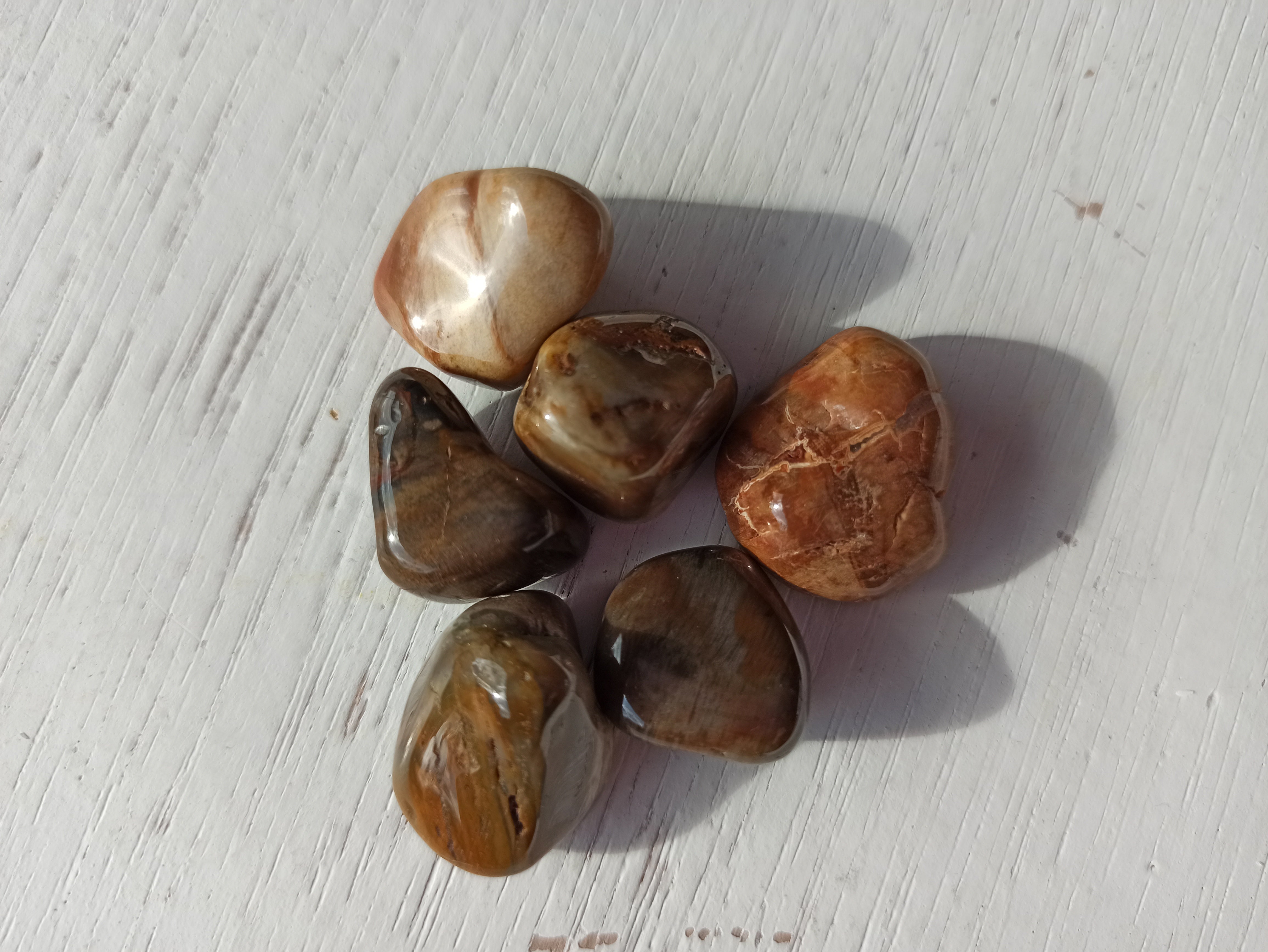 Versteend Hout trommelstenen | Marga Jacobs