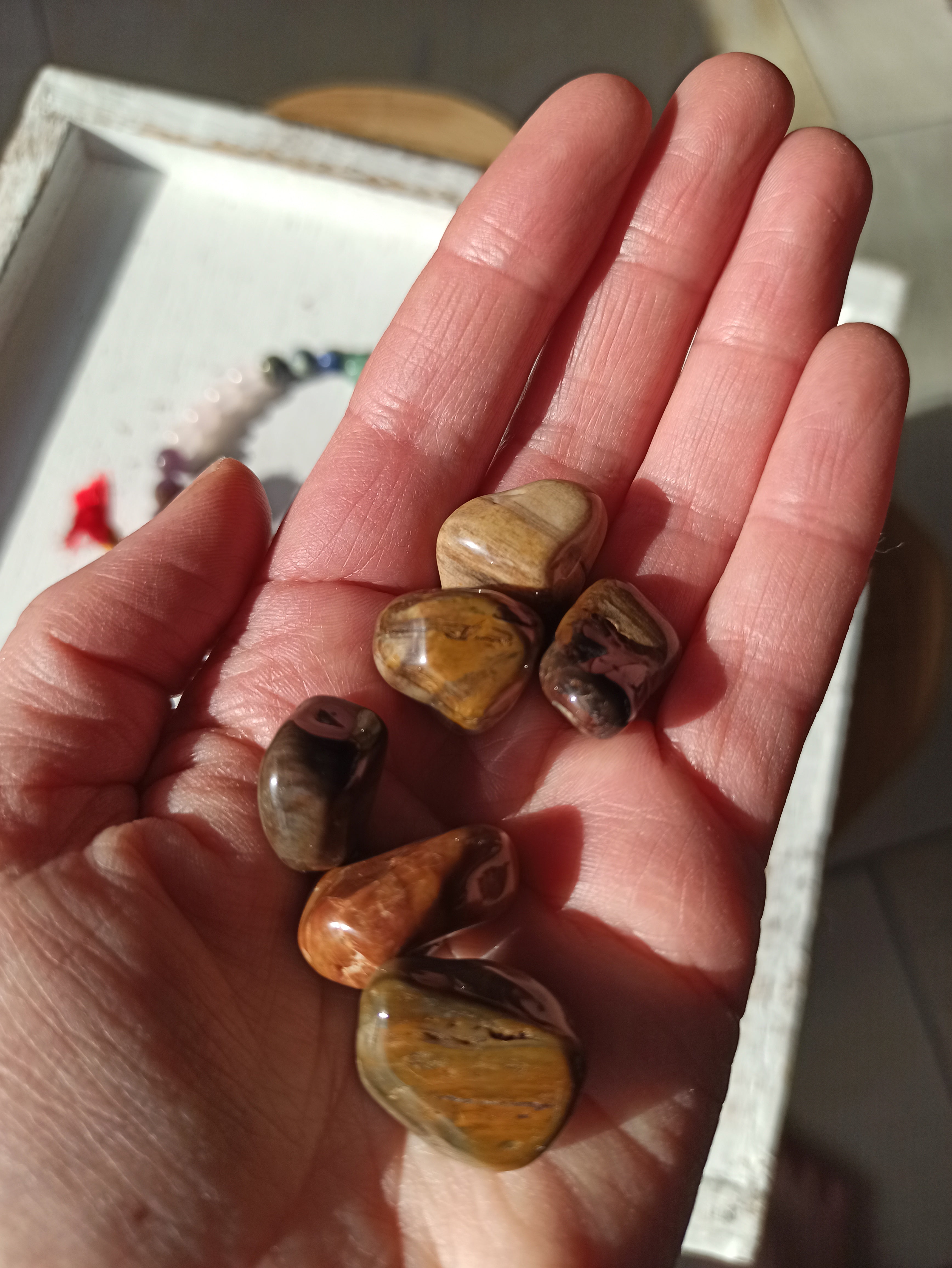 Versteend Hout trommelstenen | Marga Jacobs