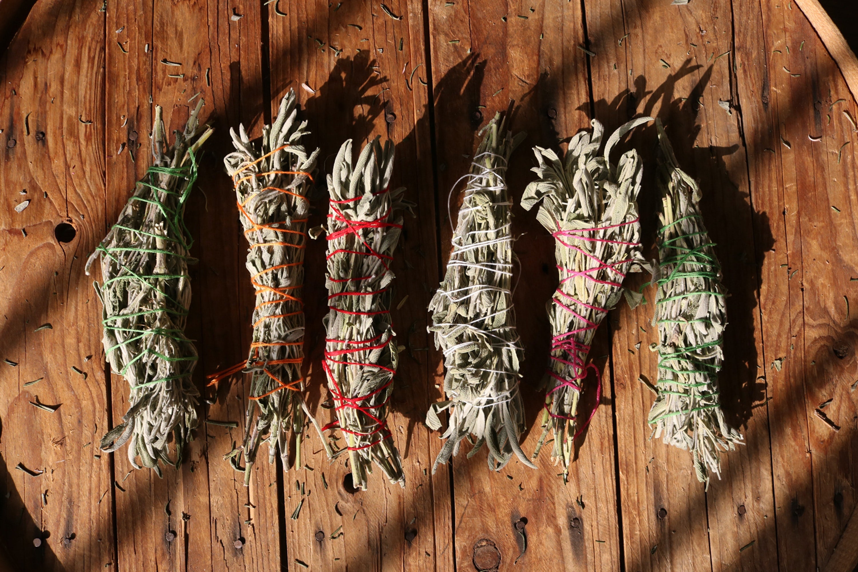 Witte salie smudge sticks 2e oogst | Marga Jacobs