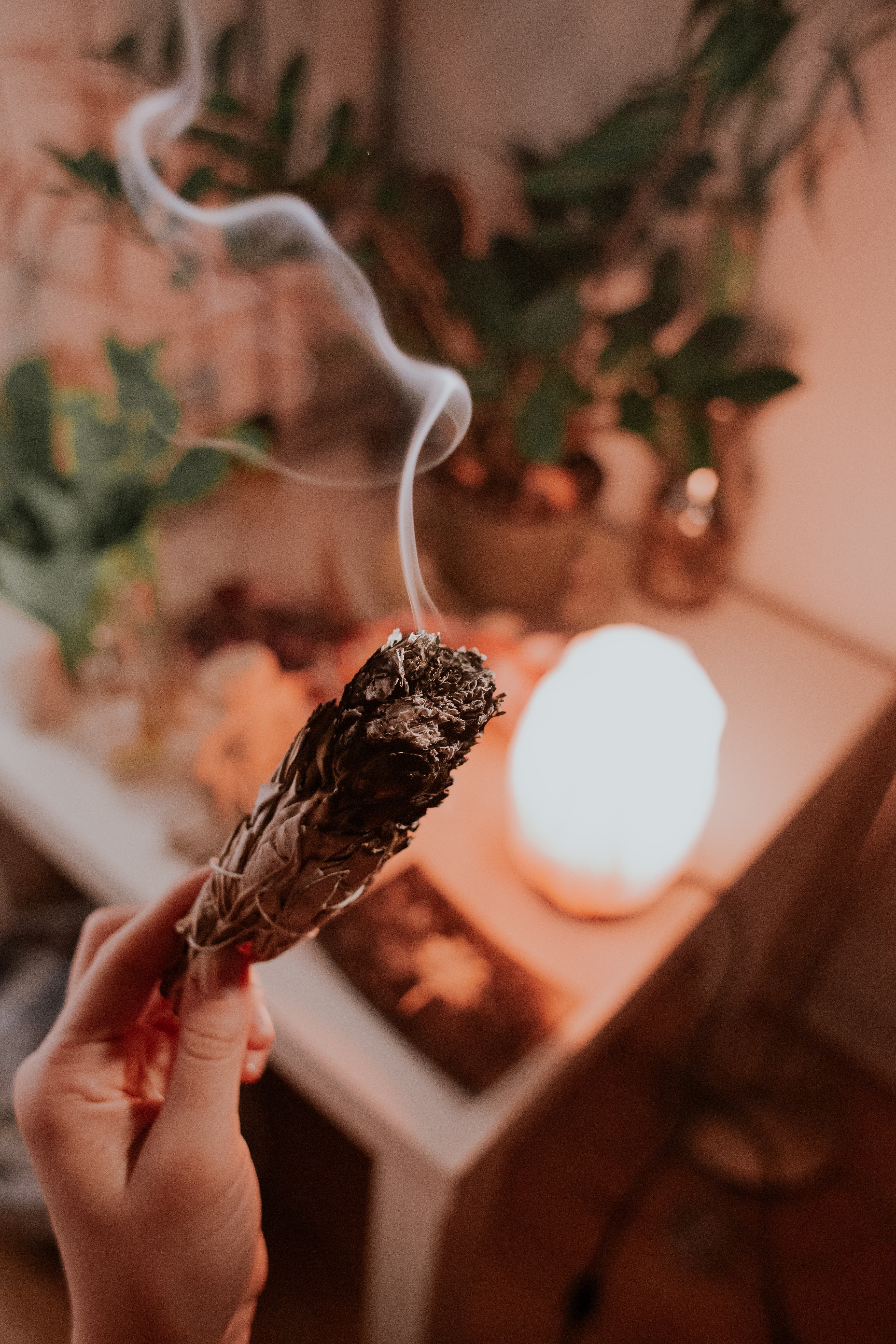 Witte salie smudge sticks 2e oogst | Marga Jacobs