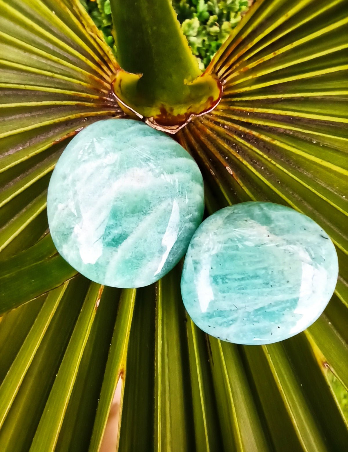 Amazoniet trommelstenen – curated crystal by Marga Jacobs | rust, symboliek en intuïtieve zelfzorg