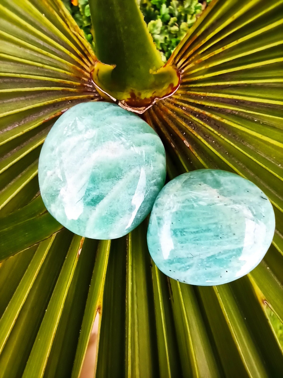 Amazoniet trommelstenen – curated crystal by Marga Jacobs | rust, symboliek en intuïtieve zelfzorg