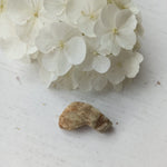 Berylloniet | ruw – curated crystal by Marga Jacobs | rust, symboliek en intuïtieve zelfzorg