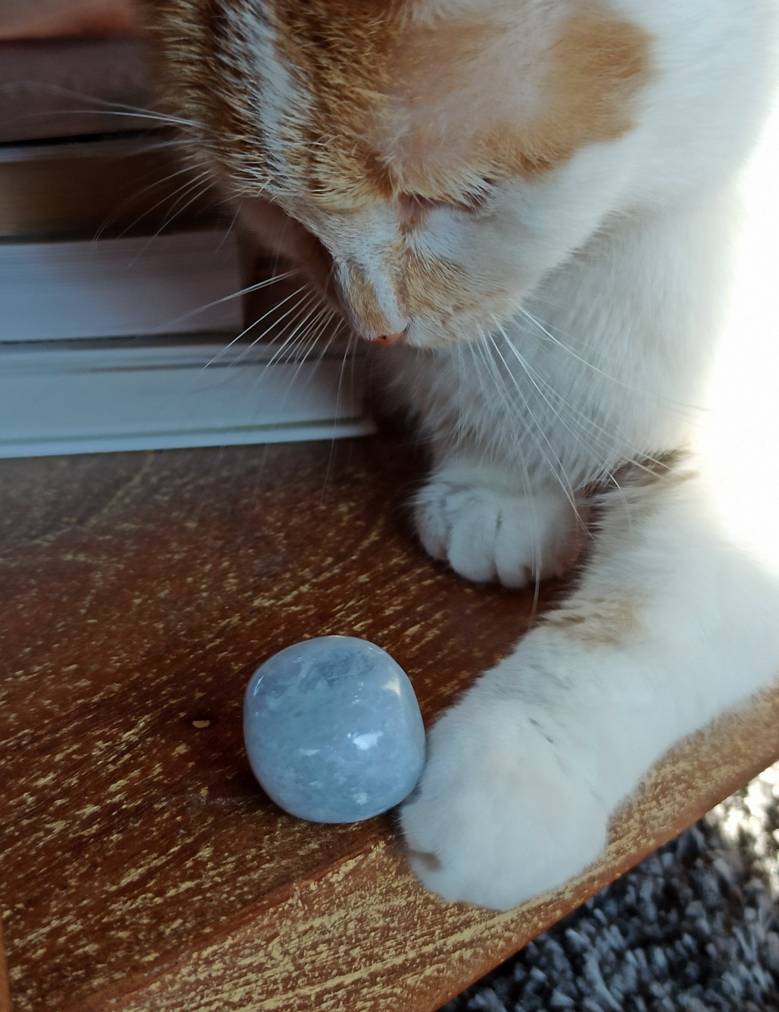 Blauwe calciet trommelstenen – curated crystal by Marga Jacobs | rust, symboliek en intuïtieve zelfzorg