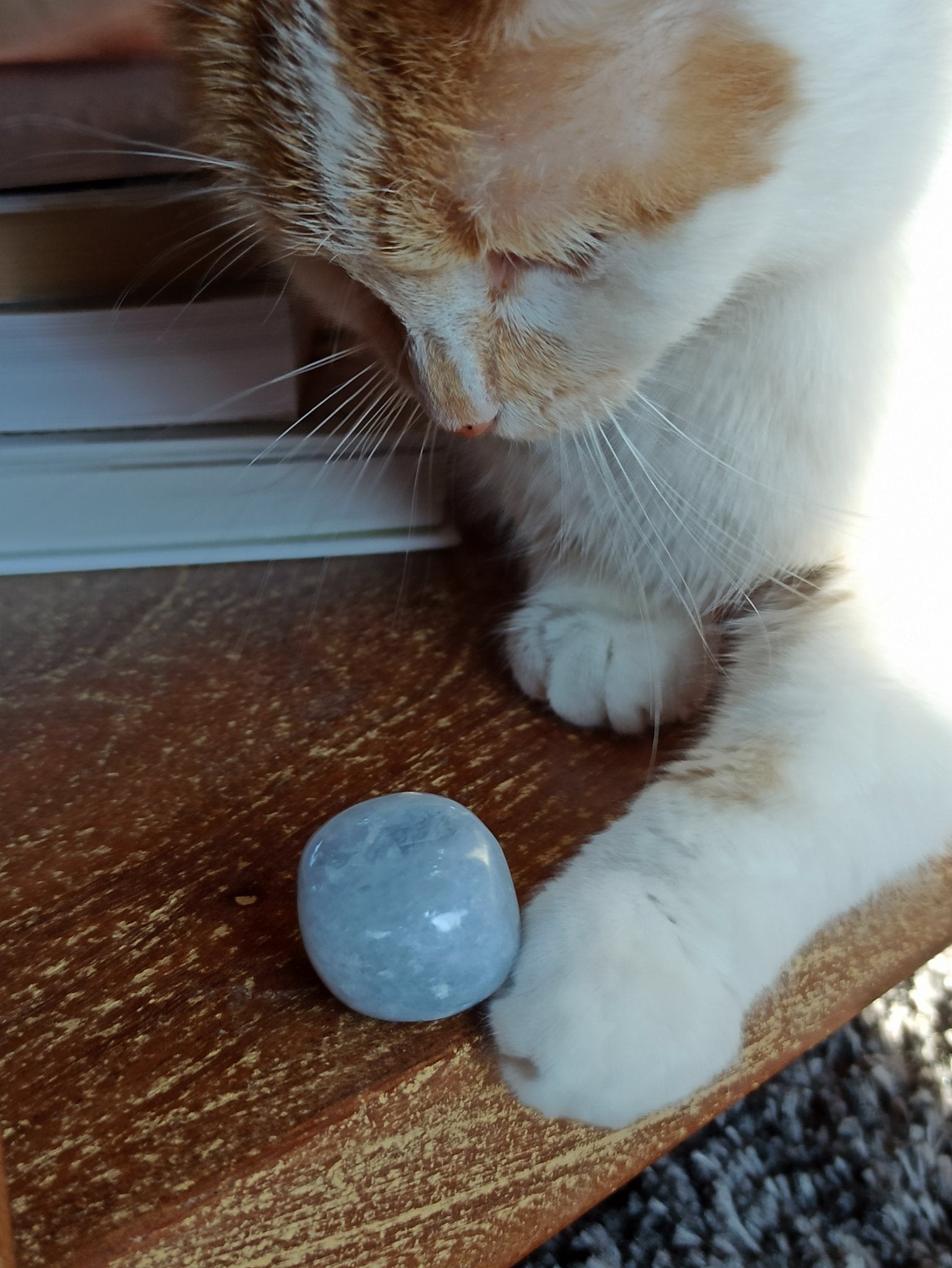 Blauwe calciet trommelstenen – curated crystal by Marga Jacobs | rust, symboliek en intuïtieve zelfzorg