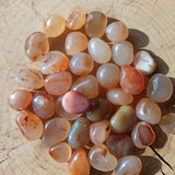 Carneool trommelstenen – curated crystal by Marga Jacobs | rust, symboliek en intuïtieve zelfzorg