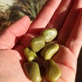 Groene Opaal trommelstenen – curated crystal by Marga Jacobs | rust, symboliek en intuïtieve zelfzorg