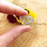 Herkimer diamant | ruw – curated crystal by Marga Jacobs | rust, symboliek en intuïtieve zelfzorg