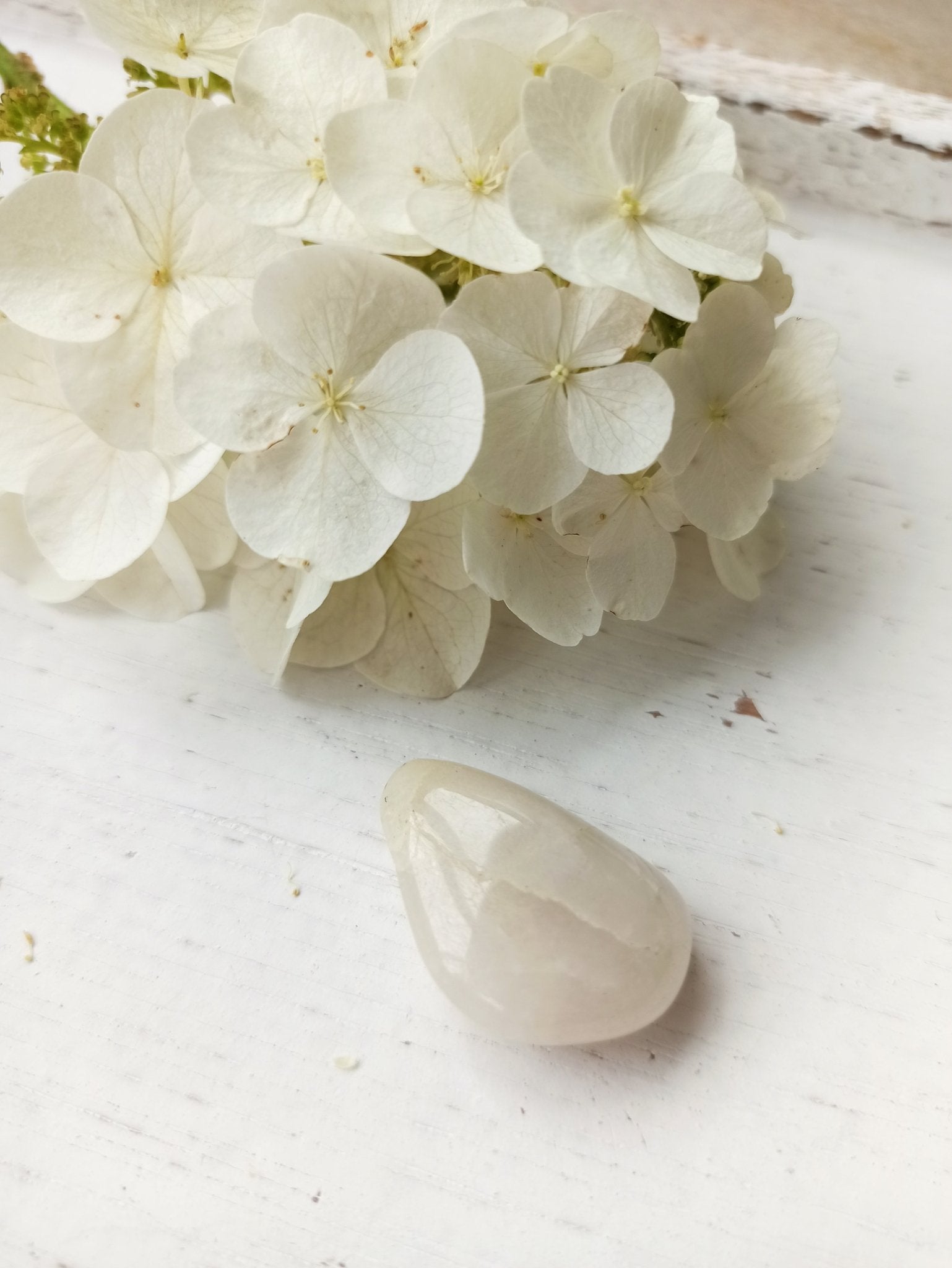 Hiddeniet trommelstenen – curated crystal by Marga Jacobs | rust, symboliek en intuïtieve zelfzorg