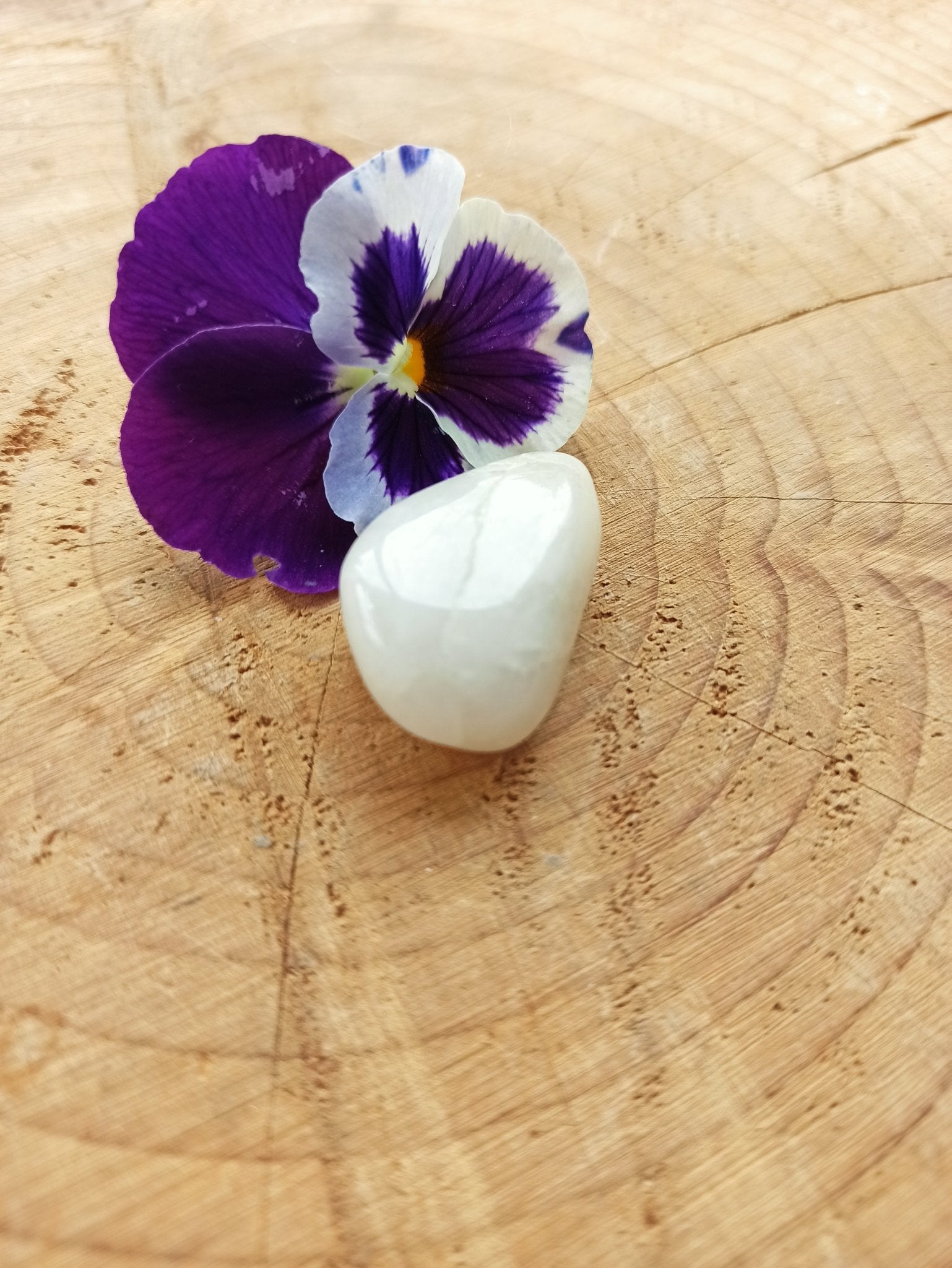 Hiddeniet trommelstenen – curated crystal by Marga Jacobs | rust, symboliek en intuïtieve zelfzorg