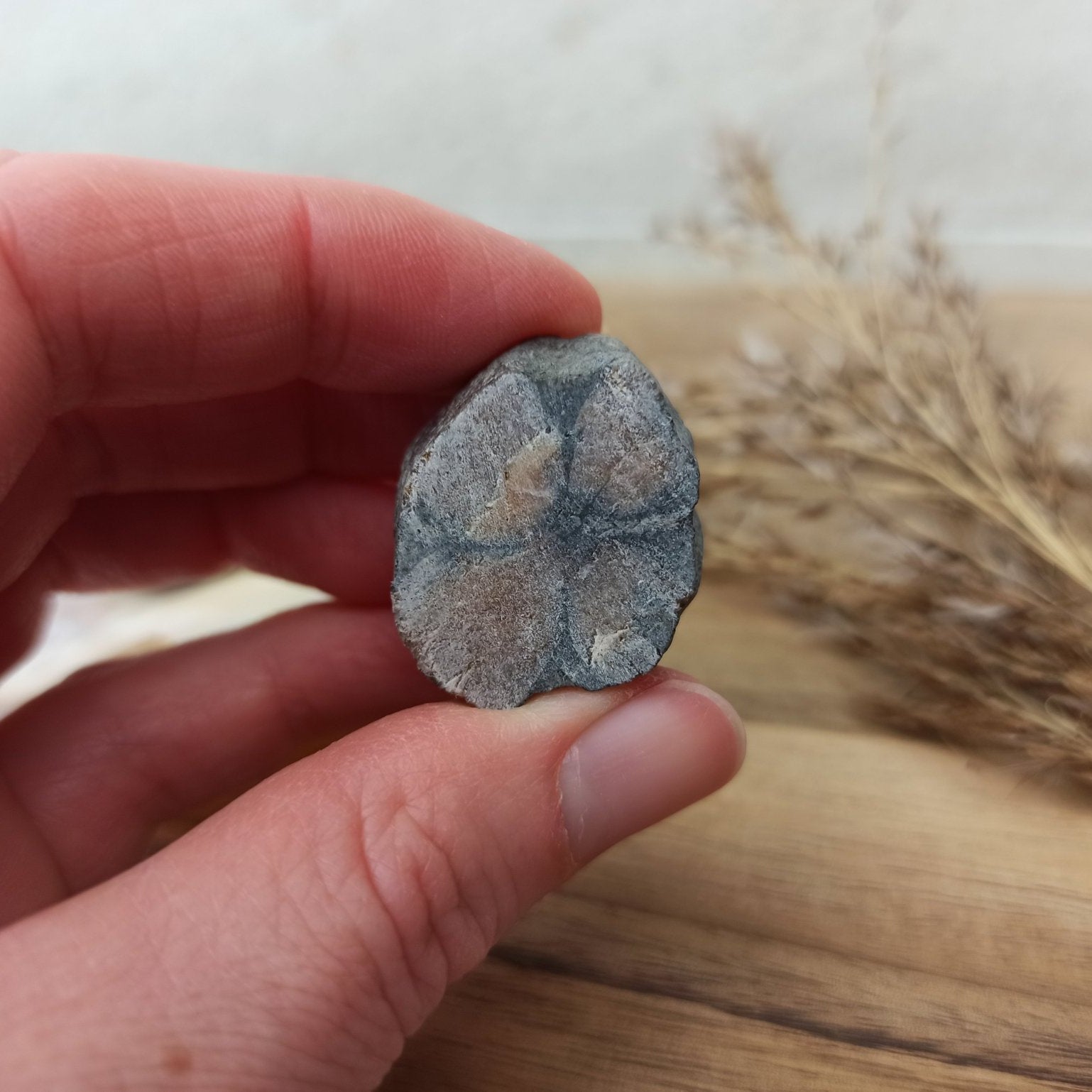 Kruissteen | ruw – curated crystal by Marga Jacobs | rust, symboliek en intuïtieve zelfzorg