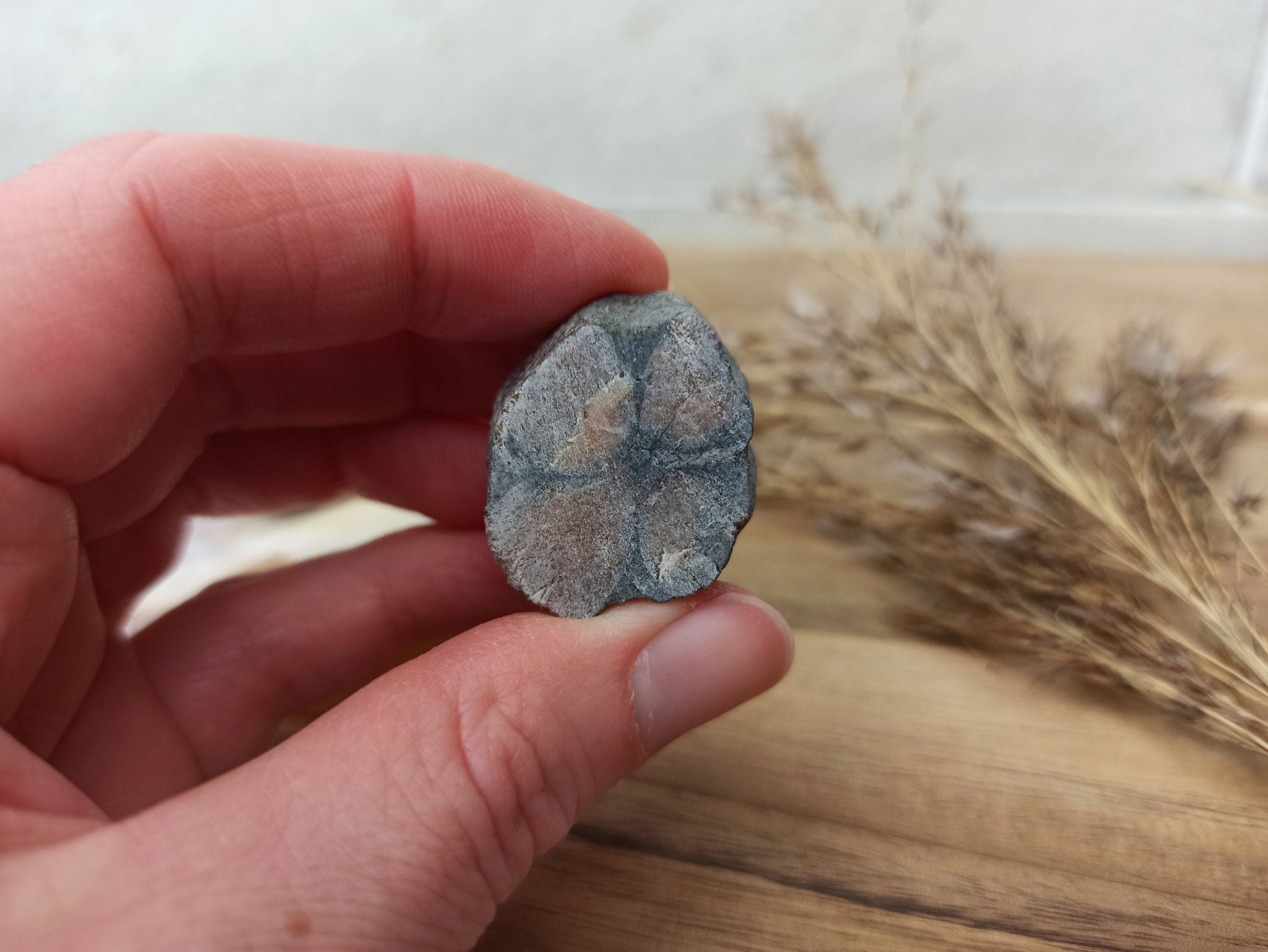 Kruissteen | ruw – curated crystal by Marga Jacobs | rust, symboliek en intuïtieve zelfzorg