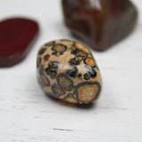 Leopardskin jaspis trommelstenen – curated crystal by Marga Jacobs | rust, symboliek en intuïtieve zelfzorg