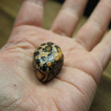 Leopardskin jaspis trommelstenen – curated crystal by Marga Jacobs | rust, symboliek en intuïtieve zelfzorg