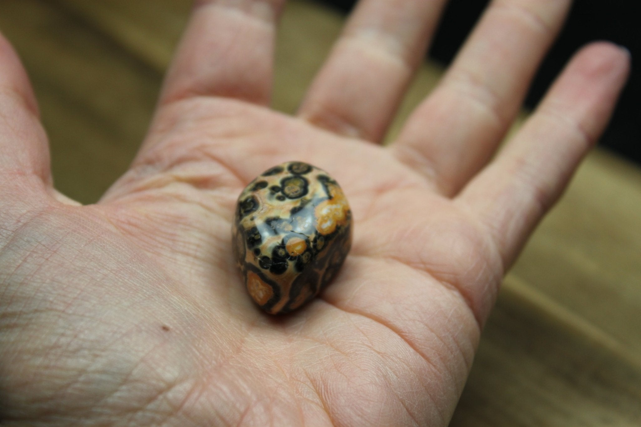 Leopardskin jaspis trommelstenen – curated crystal by Marga Jacobs | rust, symboliek en intuïtieve zelfzorg