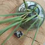 Merliniet trommelstenen – curated crystal by Marga Jacobs | rust, symboliek en intuïtieve zelfzorg