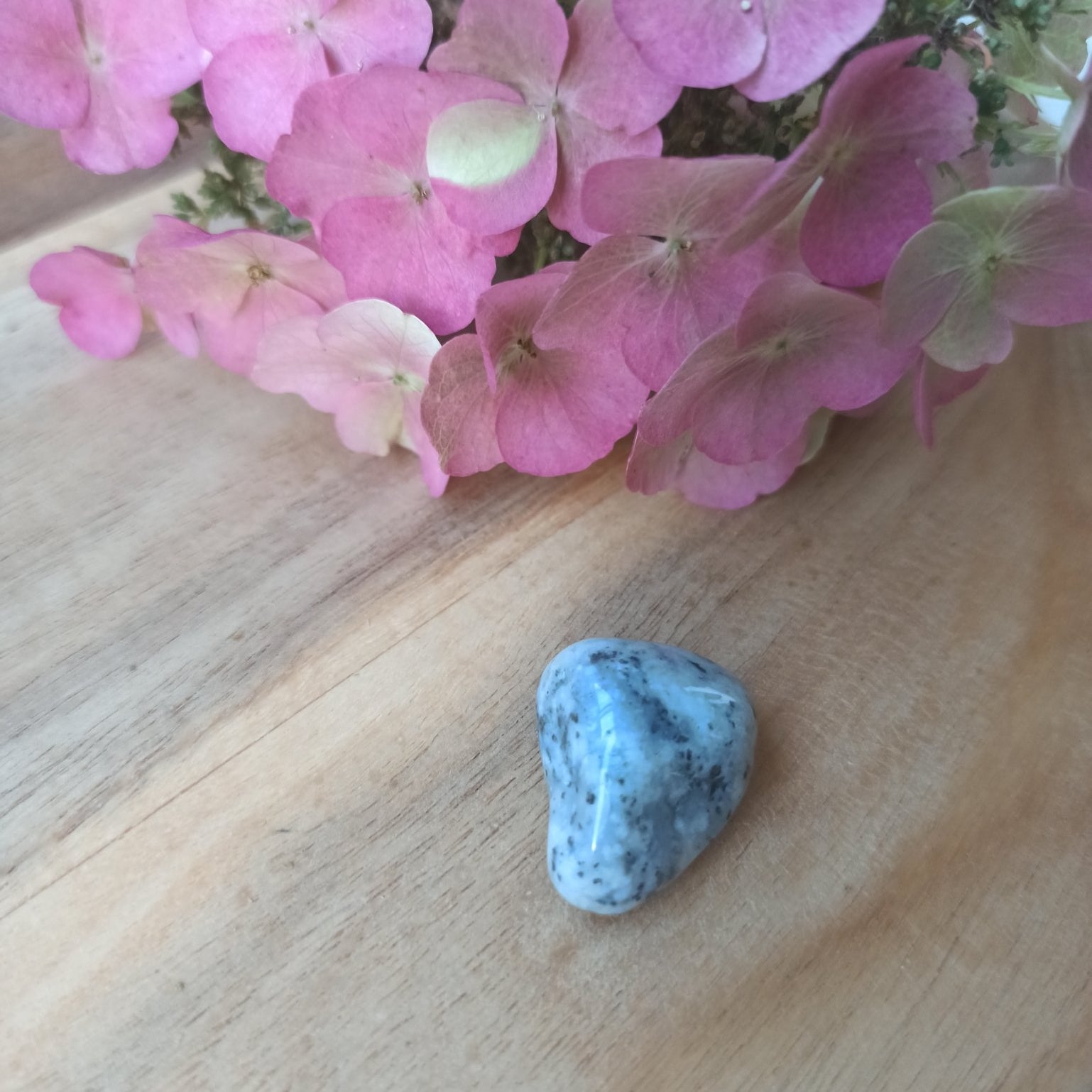 Mount Shasta Opaal trommelstenen – curated crystal by Marga Jacobs | rust, symboliek en intuïtieve zelfzorg