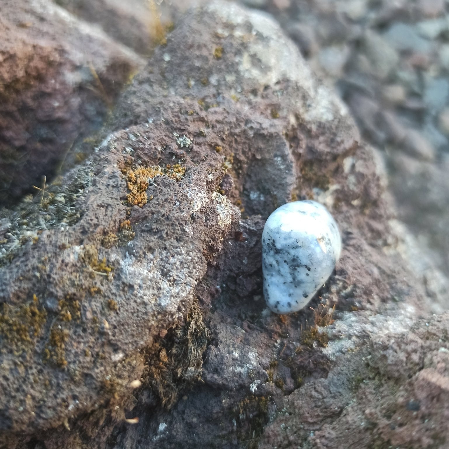 Mount Shasta Opaal trommelstenen – curated crystal by Marga Jacobs | rust, symboliek en intuïtieve zelfzorg