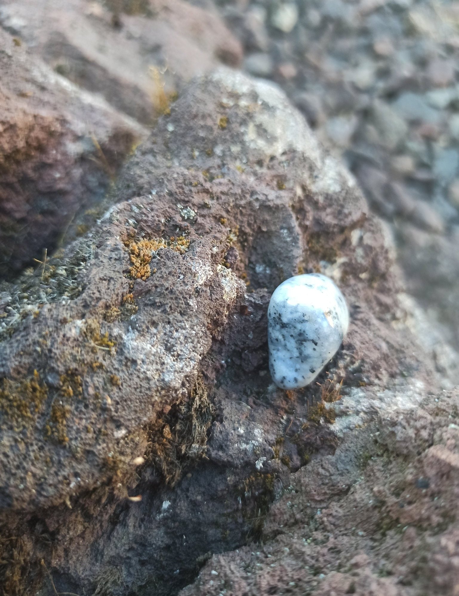Mount Shasta Opaal trommelstenen – curated crystal by Marga Jacobs | rust, symboliek en intuïtieve zelfzorg