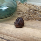 Regenwoud jaspis trommelstenen – curated crystal by Marga Jacobs | rust, symboliek en intuïtieve zelfzorg