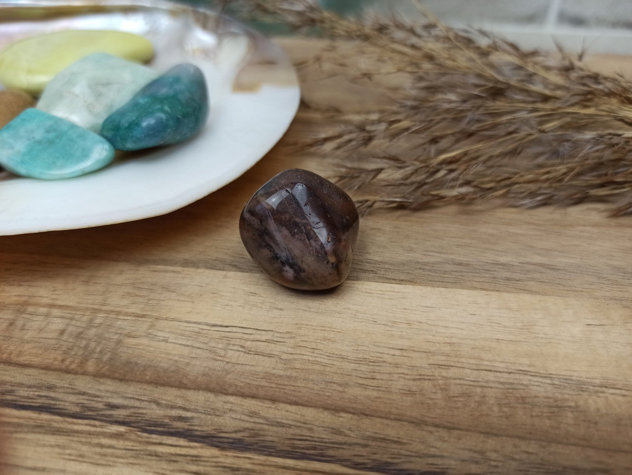 Regenwoud jaspis trommelstenen – curated crystal by Marga Jacobs | rust, symboliek en intuïtieve zelfzorg