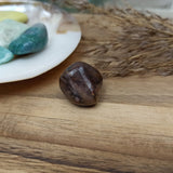 Regenwoud jaspis trommelstenen – curated crystal by Marga Jacobs | rust, symboliek en intuïtieve zelfzorg