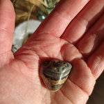 Schalenblende trommelstenen – curated crystal by Marga Jacobs | rust, symboliek en intuïtieve zelfzorg