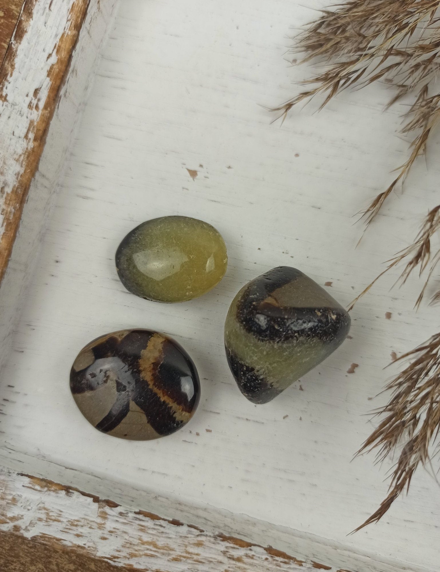 Septarian handstenen – curated crystal by Marga Jacobs | rust, symboliek en intuïtieve zelfzorg