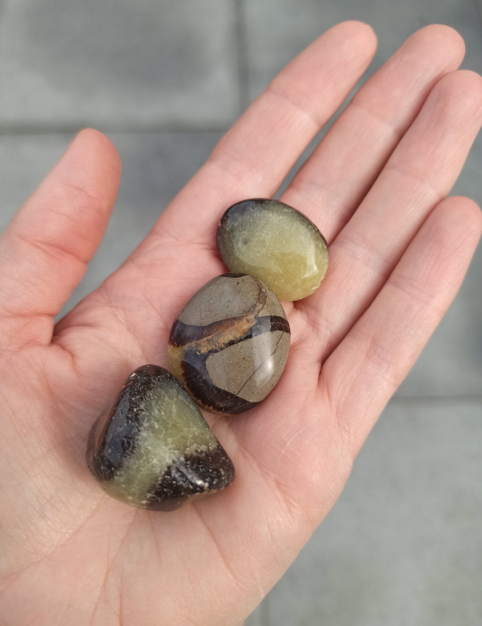 Septarian handstenen – curated crystal by Marga Jacobs | rust, symboliek en intuïtieve zelfzorg