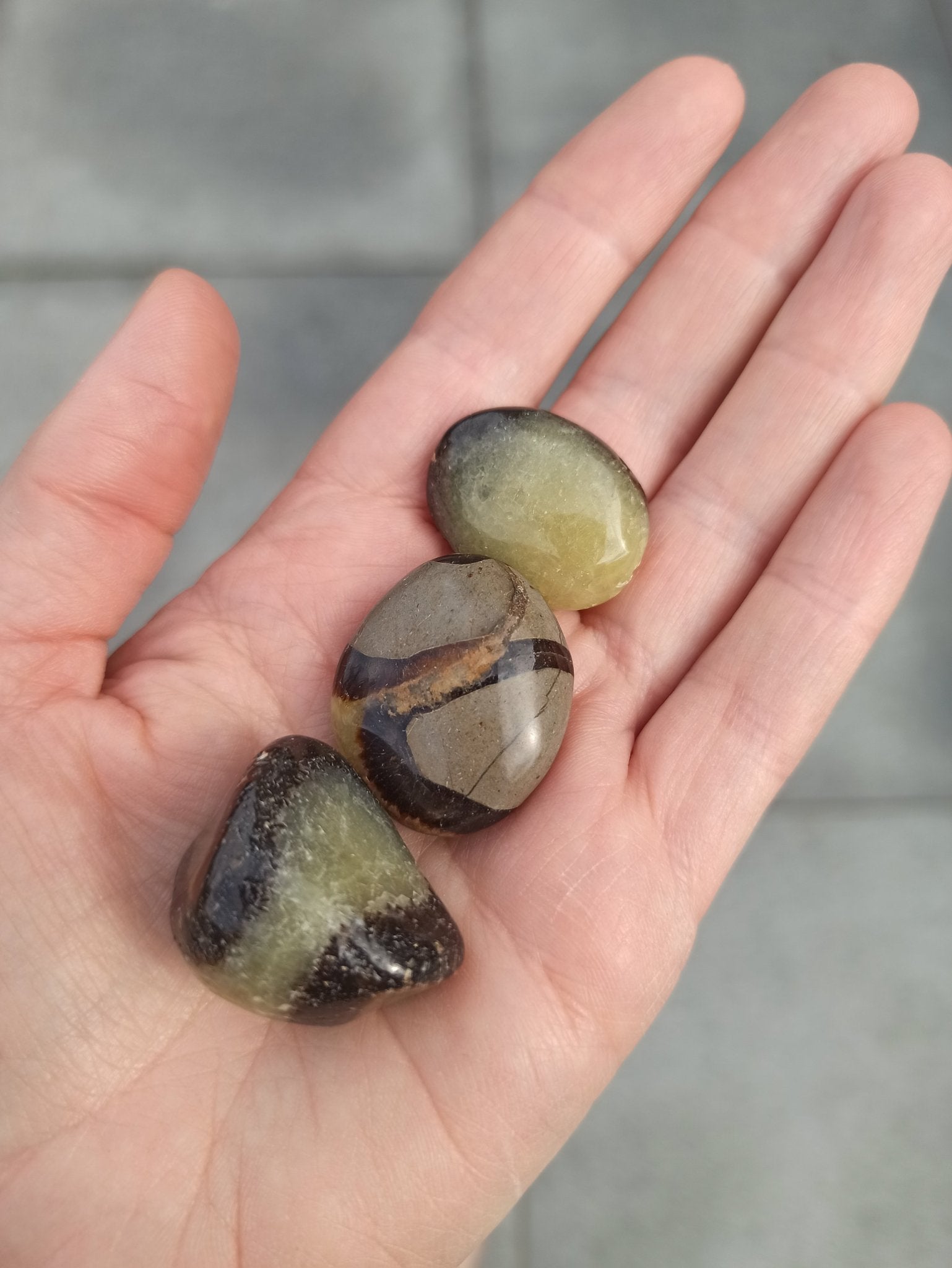 Septarian handstenen – curated crystal by Marga Jacobs | rust, symboliek en intuïtieve zelfzorg