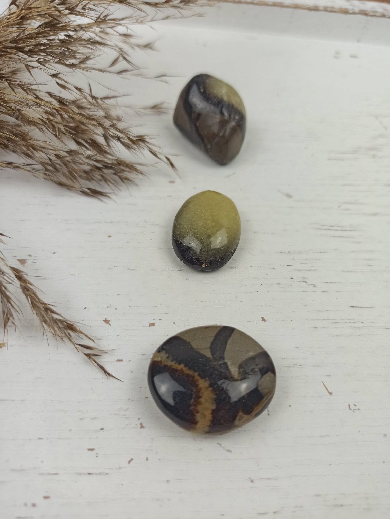 Septarian handstenen – curated crystal by Marga Jacobs | rust, symboliek en intuïtieve zelfzorg