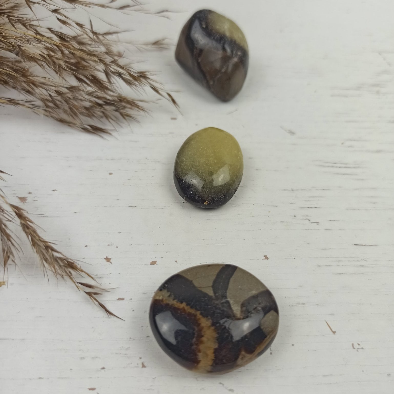 Septarian trommelstenen – curated crystal by Marga Jacobs | rust, symboliek en intuïtieve zelfzorg