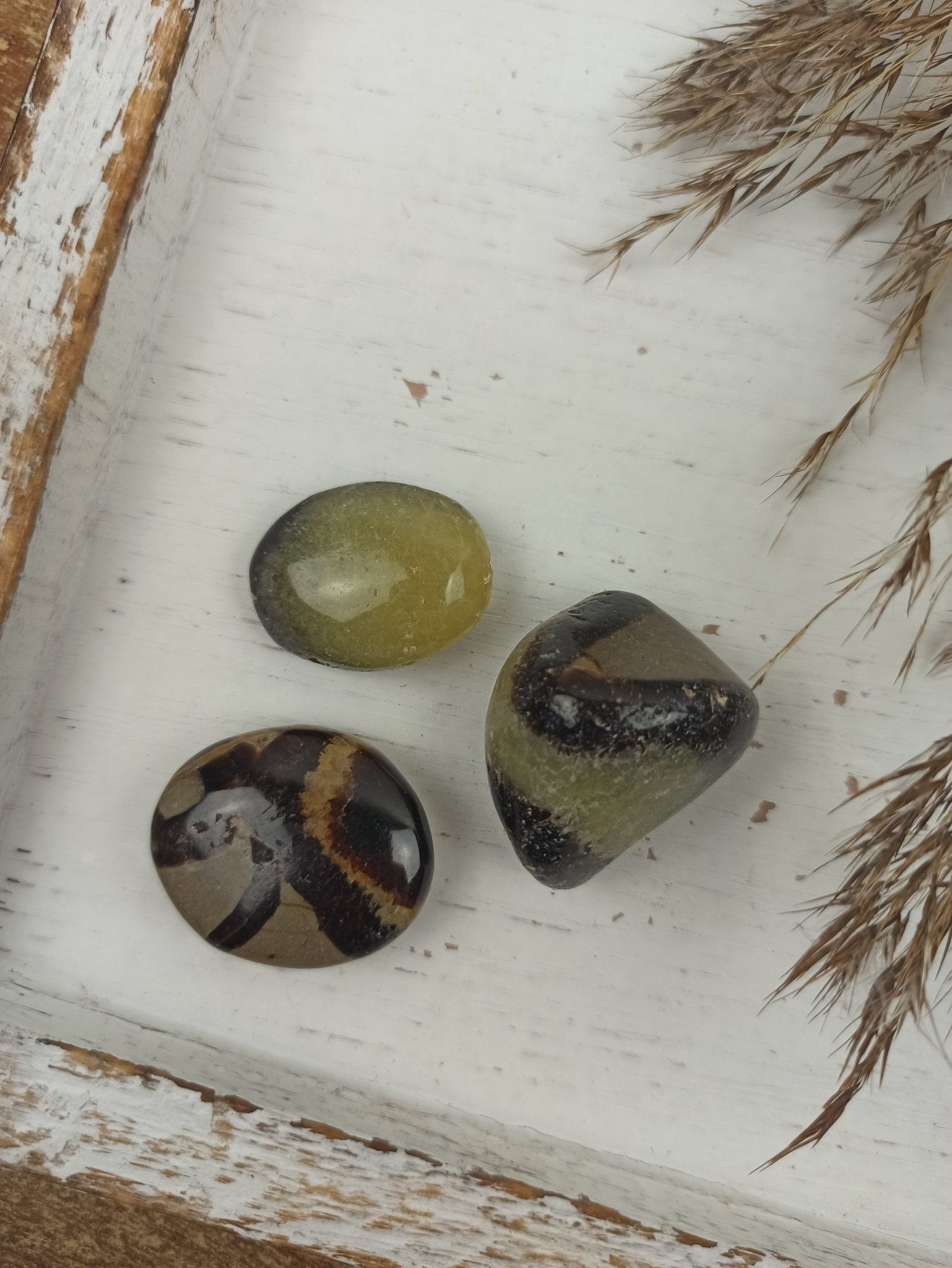 Septarian trommelstenen – curated crystal by Marga Jacobs | rust, symboliek en intuïtieve zelfzorg