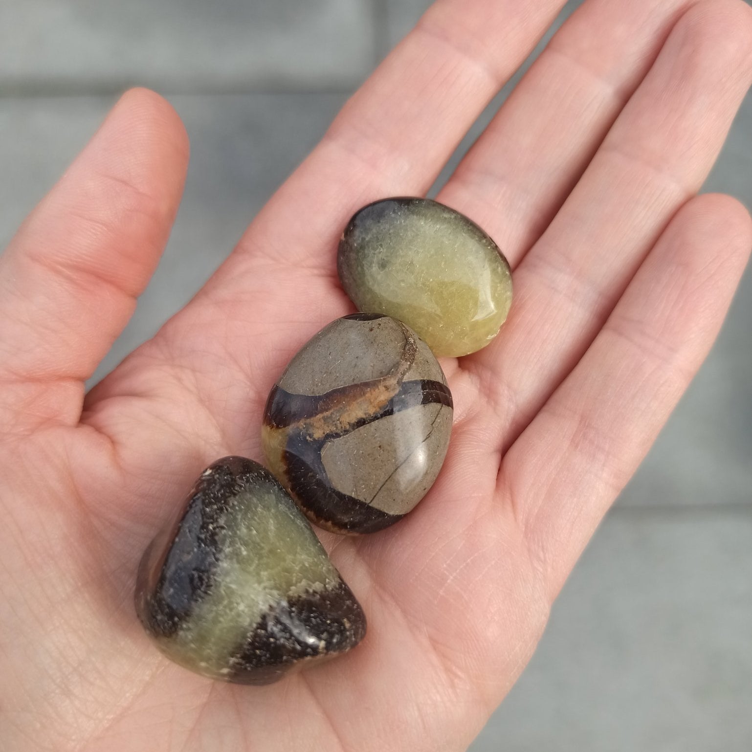 Septarian trommelstenen – curated crystal by Marga Jacobs | rust, symboliek en intuïtieve zelfzorg
