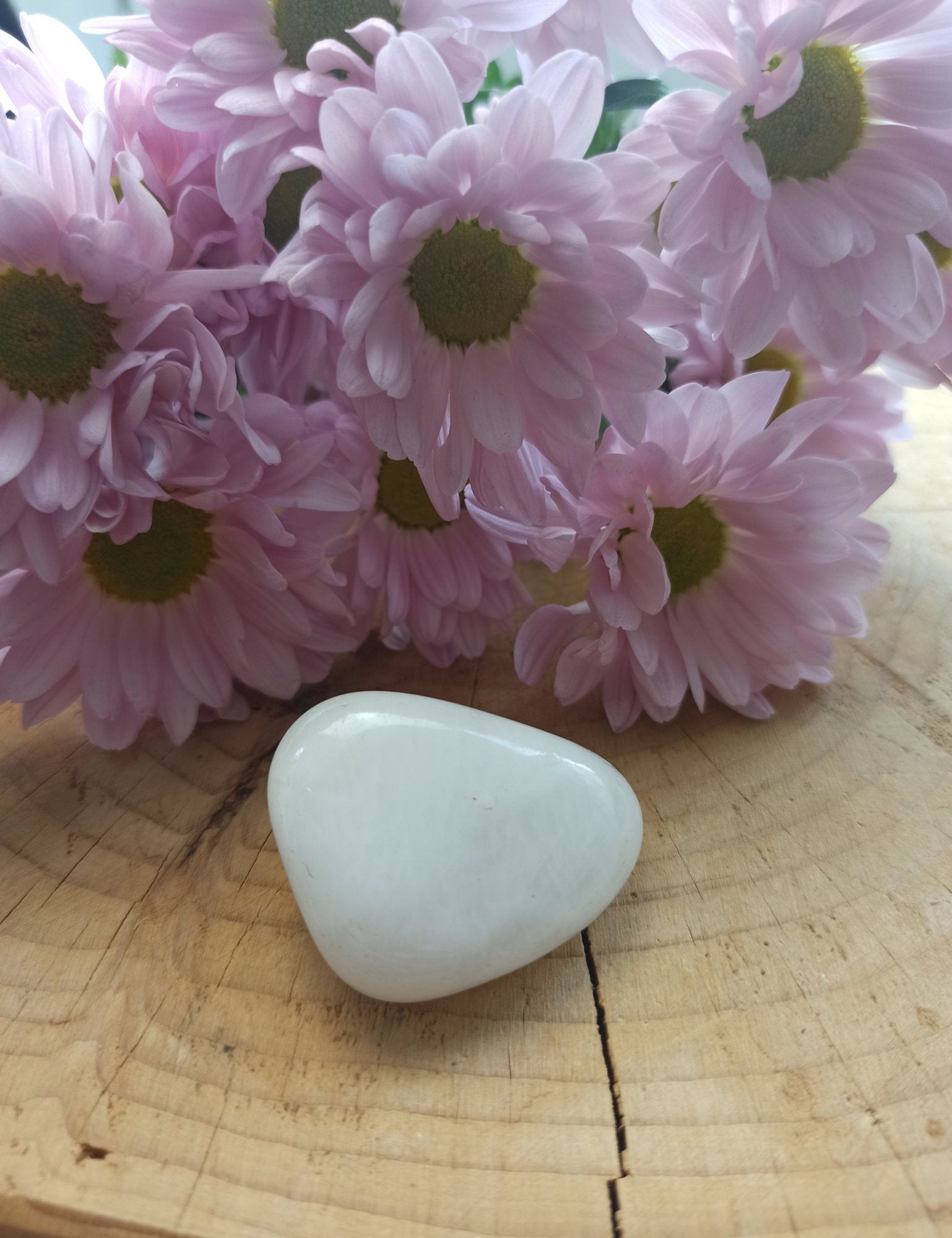 Sneeuwkwarts trommelstenen – curated crystal by Marga Jacobs | rust, symboliek en intuïtieve zelfzorg