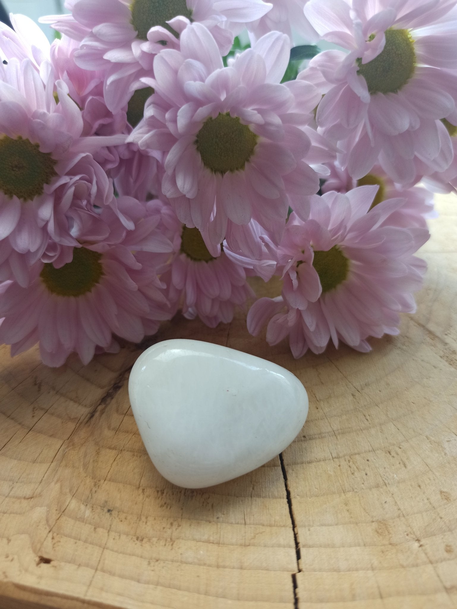 Sneeuwkwarts trommelstenen – curated crystal by Marga Jacobs | rust, symboliek en intuïtieve zelfzorg