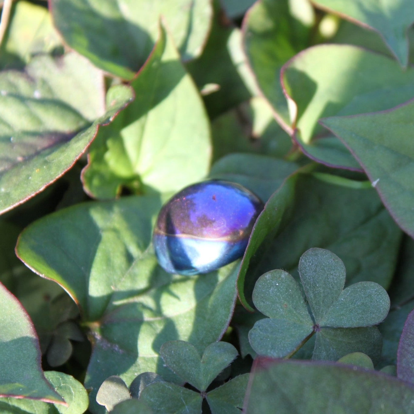 Tanzien Titanium Aura trommelstenen – curated crystal by Marga Jacobs | rust, symboliek en intuïtieve zelfzorg
