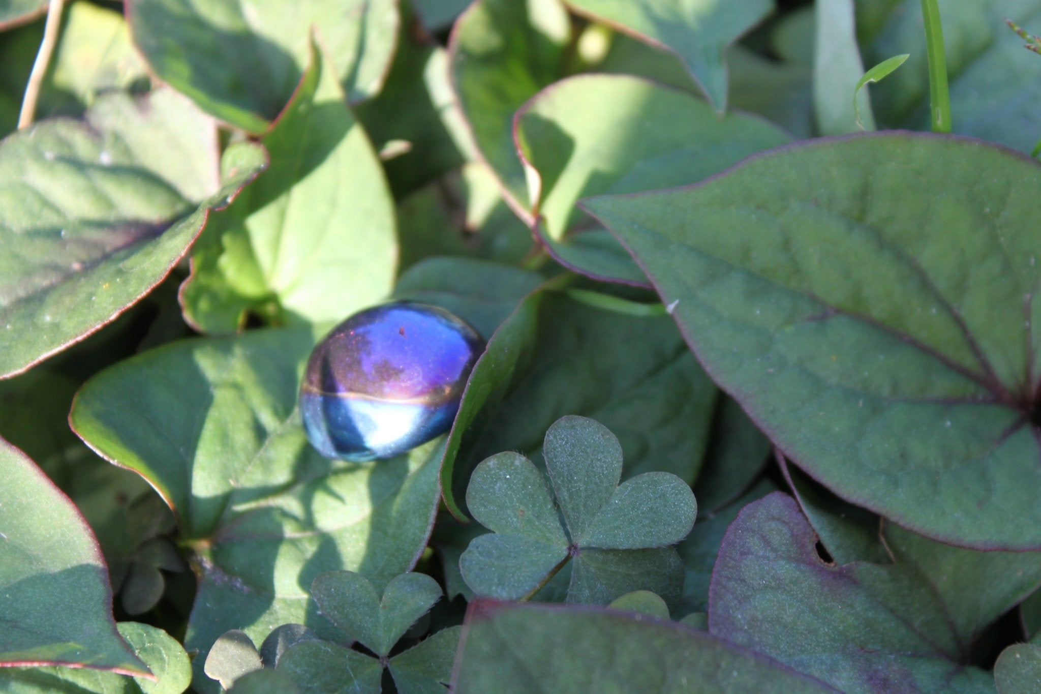 Tanzien Titanium Aura trommelstenen – curated crystal by Marga Jacobs | rust, symboliek en intuïtieve zelfzorg