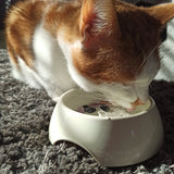 Tegen vlooien en teken edelsteenwaterset (huisdieren) – curated crystal by Marga Jacobs | rust, symboliek en intuïtieve zelfzorg