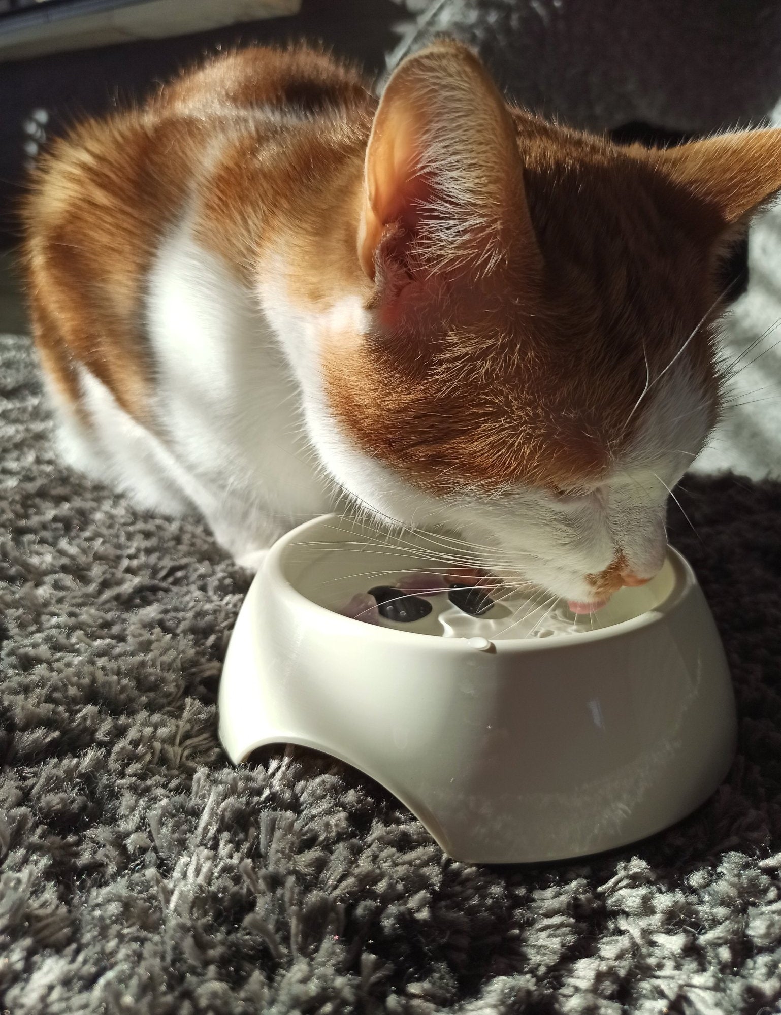 Tegen vlooien en teken edelsteenwaterset (huisdieren) – curated crystal by Marga Jacobs | rust, symboliek en intuïtieve zelfzorg