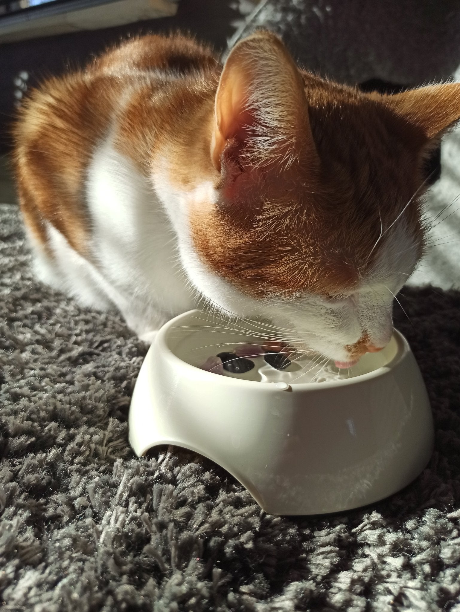 Tegen vlooien en teken edelsteenwaterset (huisdieren) – curated crystal by Marga Jacobs | rust, symboliek en intuïtieve zelfzorg