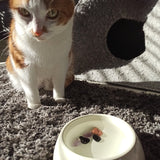 Tegen vlooien en teken edelsteenwaterset (huisdieren) – curated crystal by Marga Jacobs | rust, symboliek en intuïtieve zelfzorg