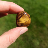 Tijgerijzer trommelstenen – curated crystal by Marga Jacobs | rust, symboliek en intuïtieve zelfzorg