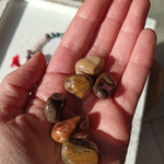 Versteend Hout trommelstenen – curated crystal by Marga Jacobs | rust, symboliek en intuïtieve zelfzorg