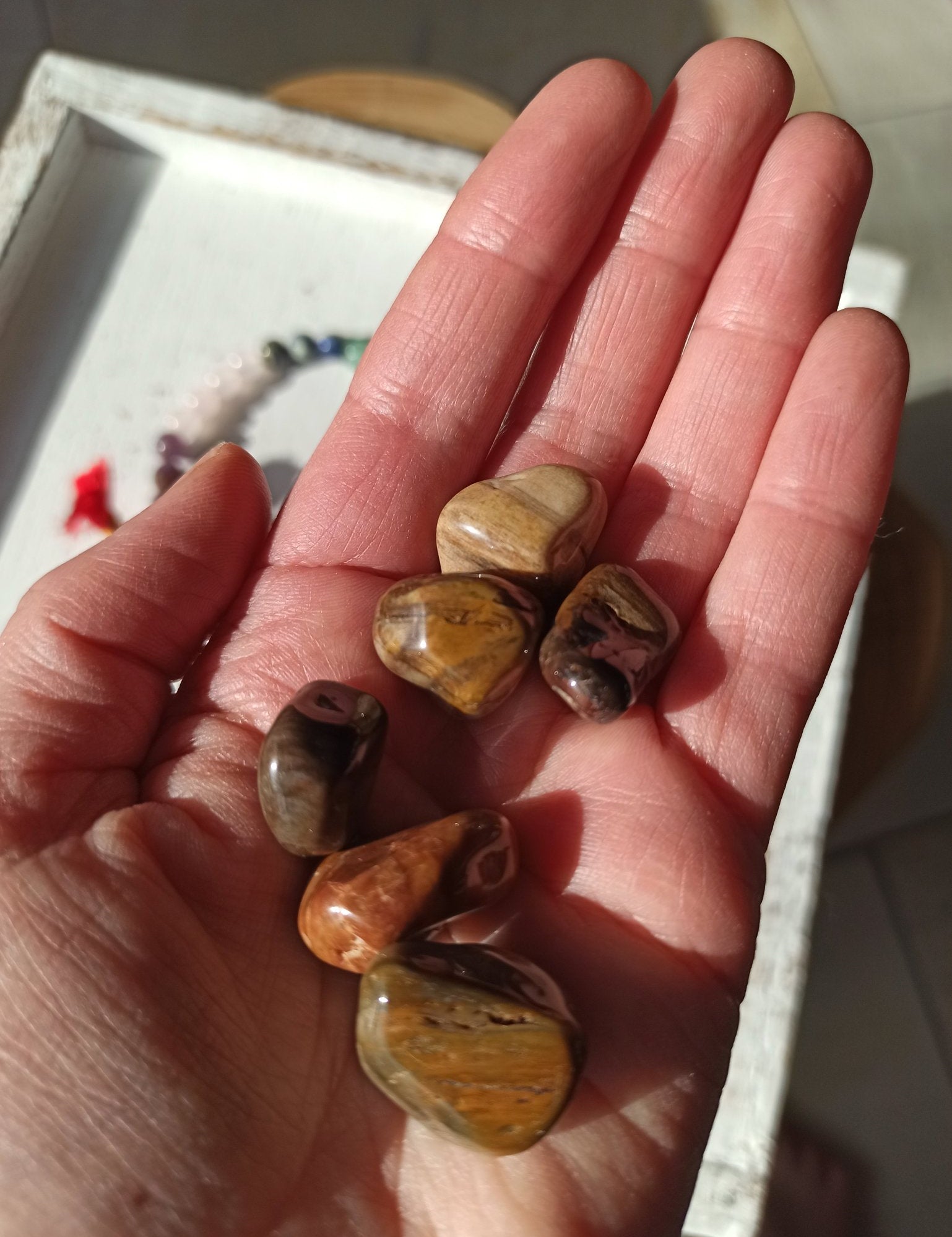 Versteend Hout trommelstenen – curated crystal by Marga Jacobs | rust, symboliek en intuïtieve zelfzorg