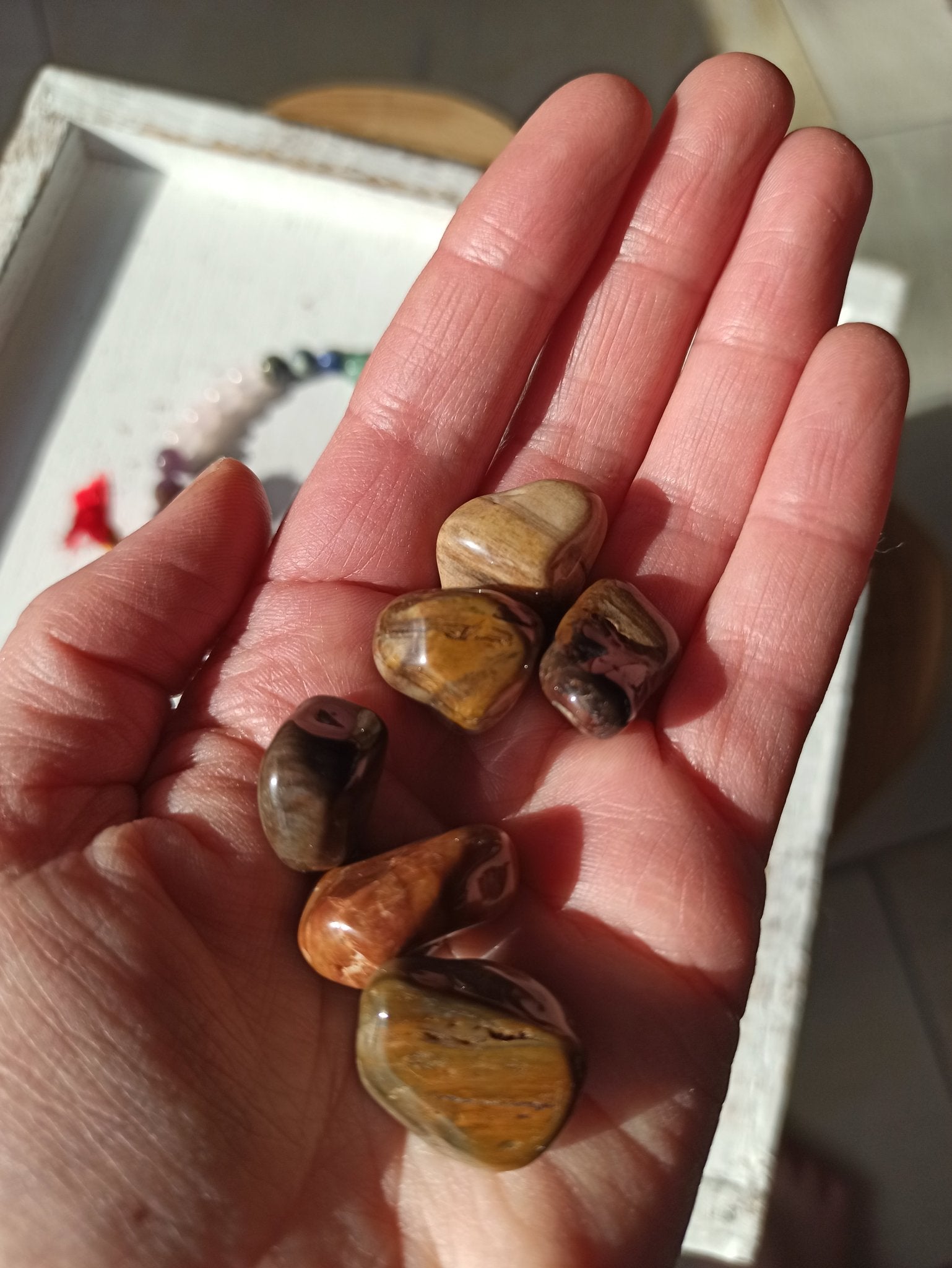 Versteend Hout trommelstenen – curated crystal by Marga Jacobs | rust, symboliek en intuïtieve zelfzorg