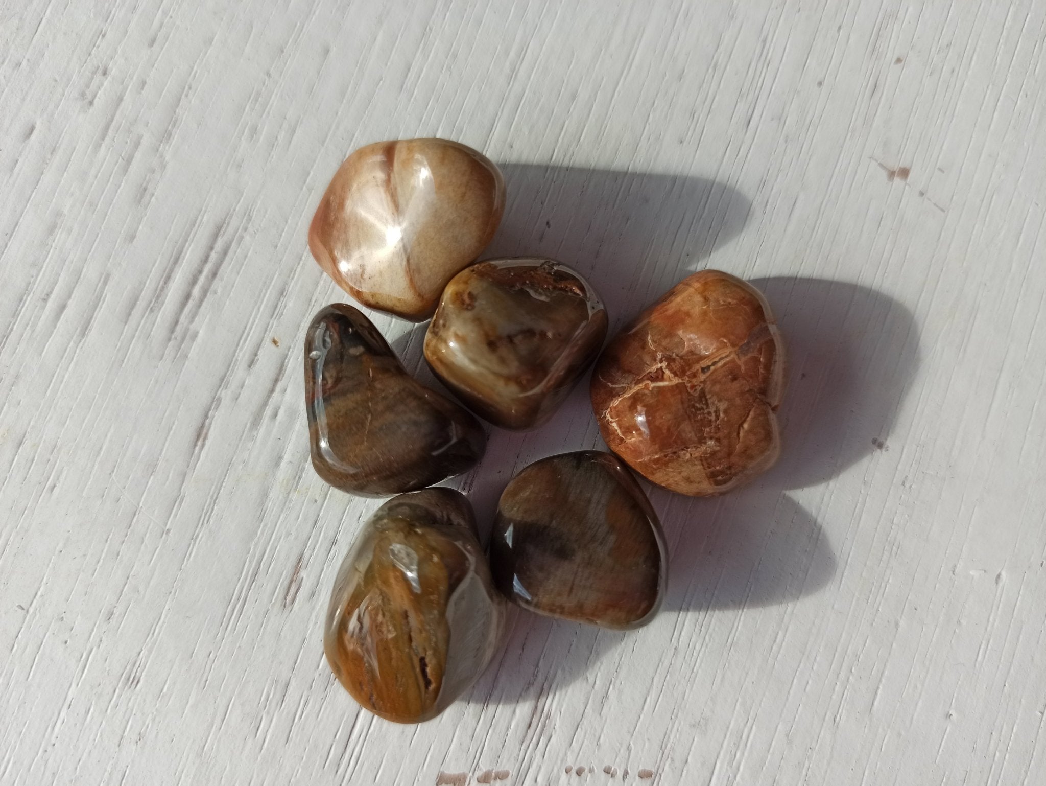 Versteend Hout trommelstenen – curated crystal by Marga Jacobs | rust, symboliek en intuïtieve zelfzorg