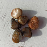 Versteend Hout trommelstenen – curated crystal by Marga Jacobs | rust, symboliek en intuïtieve zelfzorg