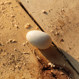 Witte Jade trommelstenen – curated crystal by Marga Jacobs | rust, symboliek en intuïtieve zelfzorg